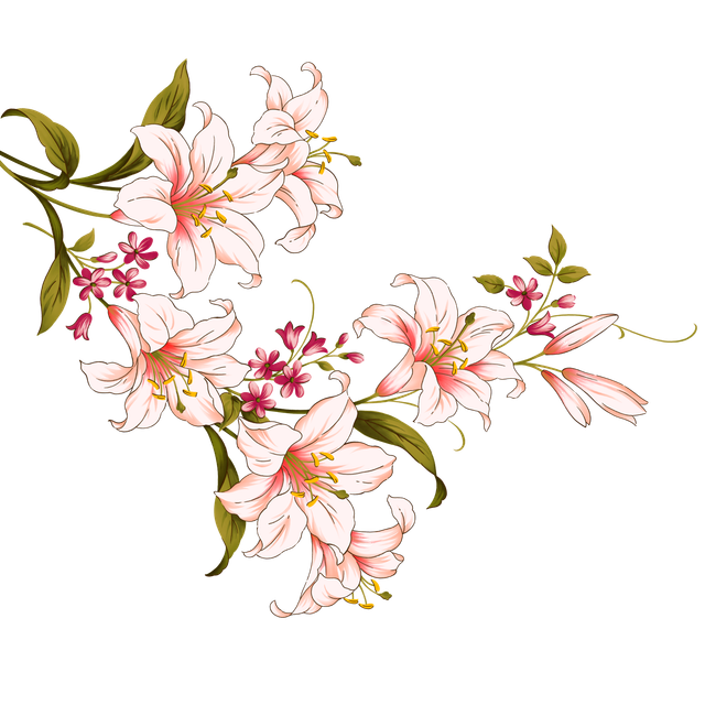 558e1178b10dfae6fc1f24cb862fc7cd.png