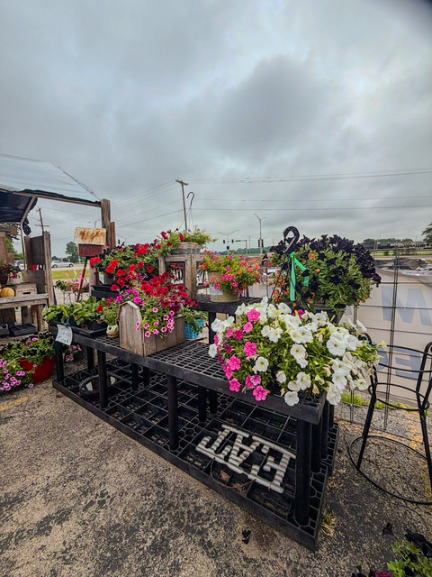 DJ's Fresh Market farm stand with flowers at the corner of Northland and Lynndale, Appleton WI