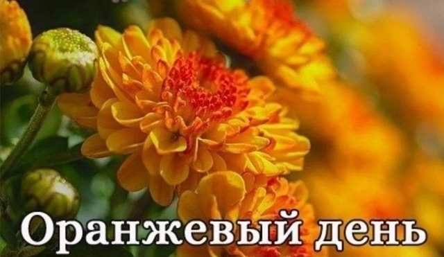 https://i.ibb.co/4wcKsFWL/IMG-1667.jpg