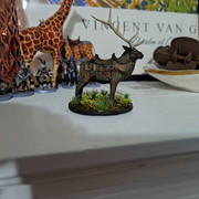 Elk