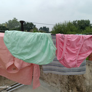 IMG20200719095900