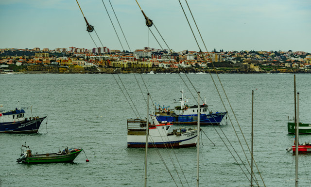DSF6070.jpg