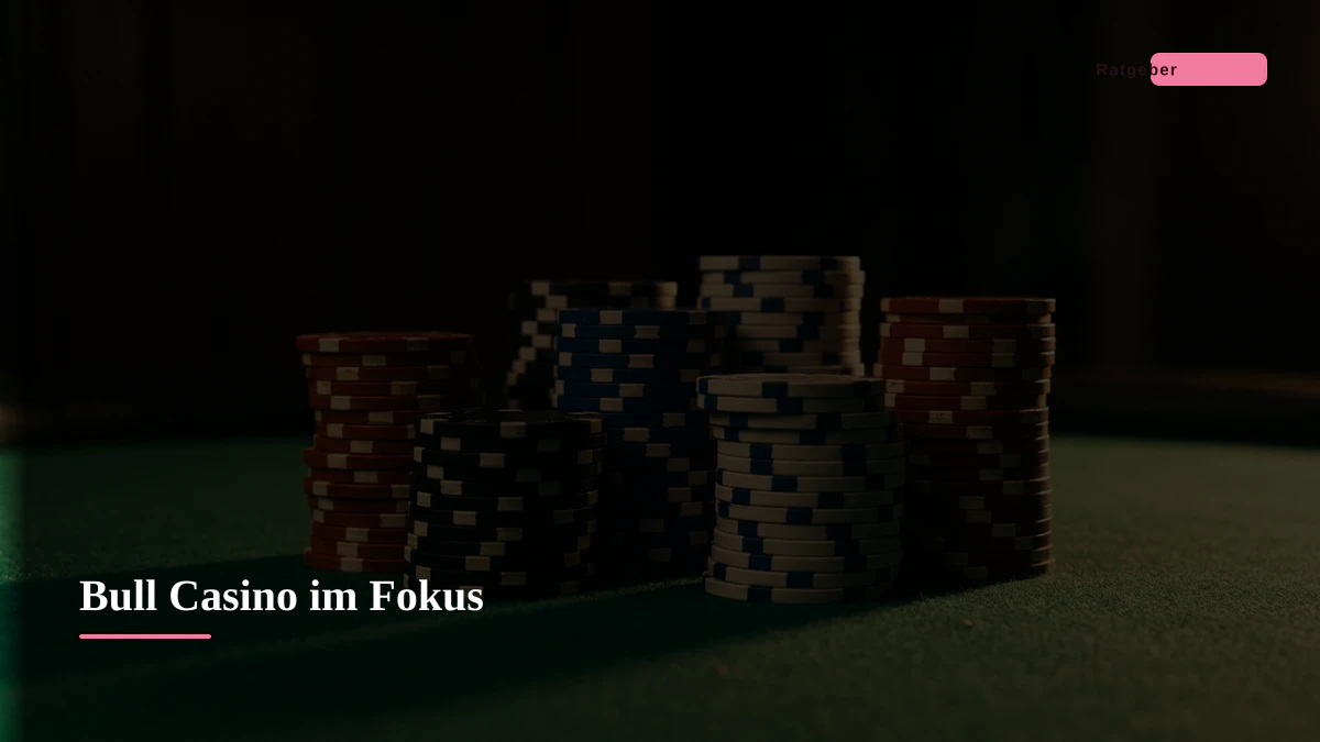 Bull Casino im Fokus