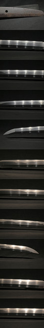 DSC5102