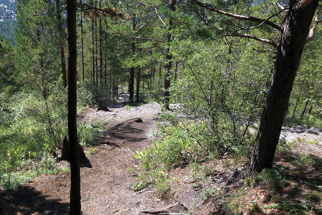 IMG 0377.jpg