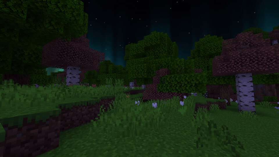 Dark Forest Night