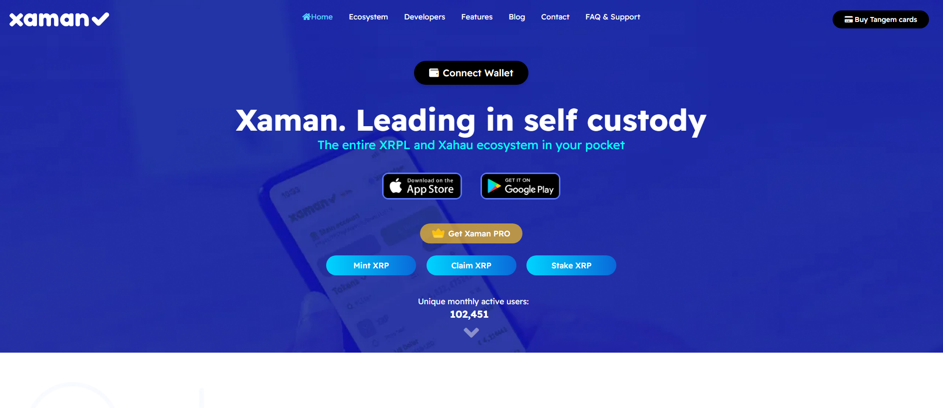 Stored capture of xamanwallet-xapps.com