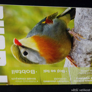 IMG-7729