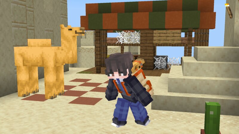 Image 7
