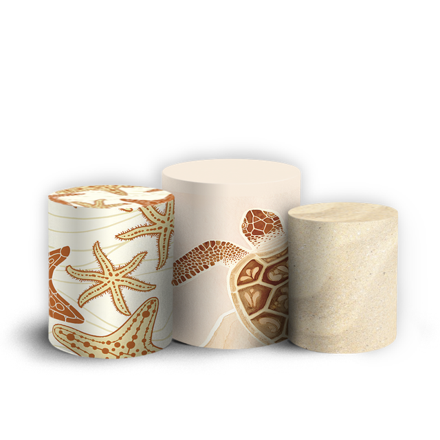 906501 Fundo do Mar Conchas