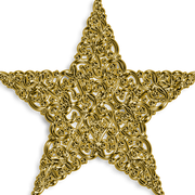 SNAPPY-GOLD-2