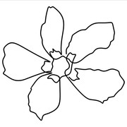 shutterstock 1520566826