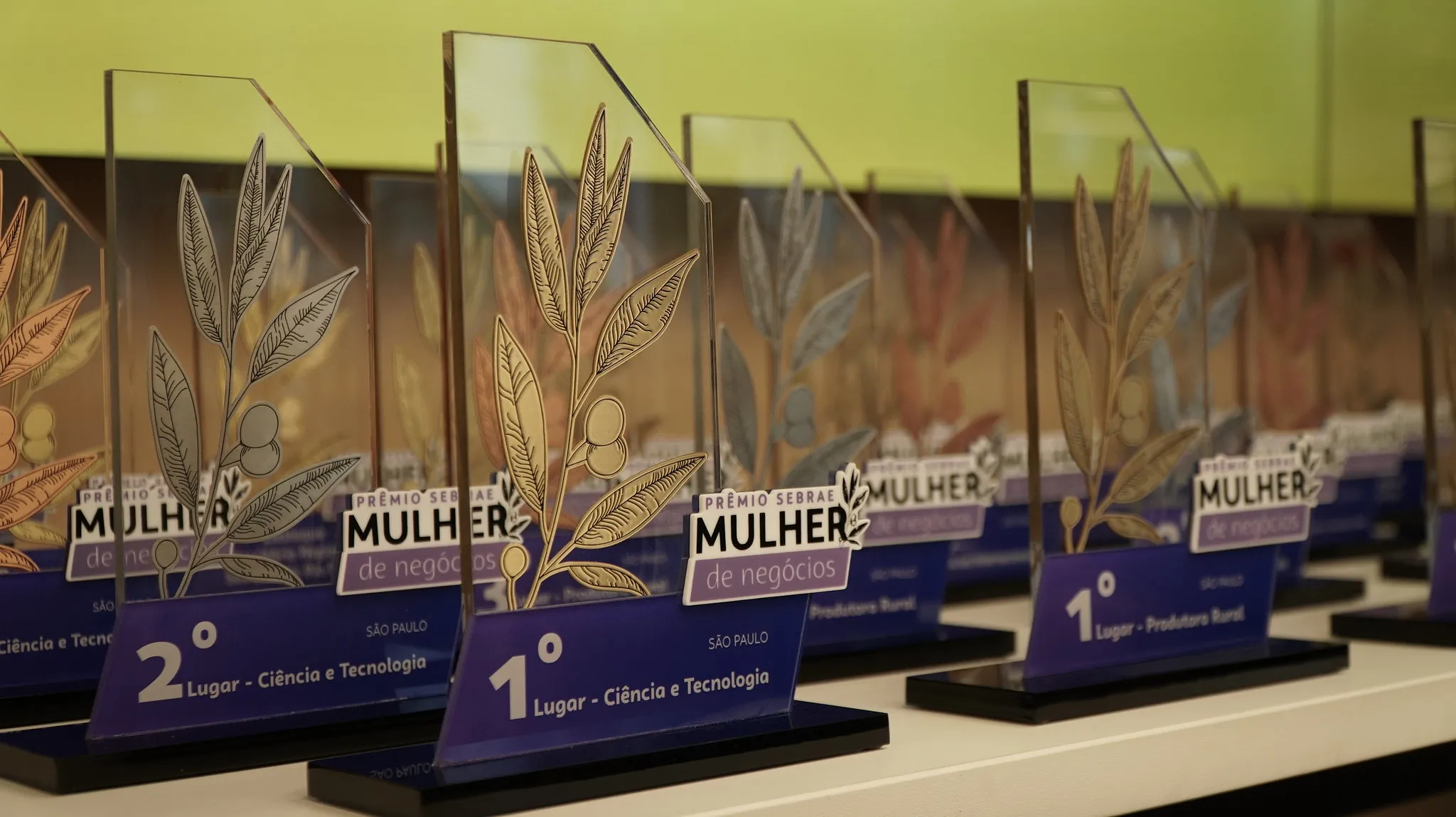 Premio Sebrae Mulher De Negocios 2024