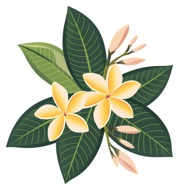 d18cfdb3ebb1929c72a021846afdc12f.png