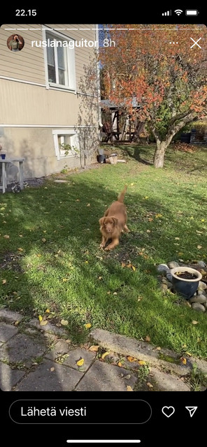 29-EFDD04-EA20-4-B41-BFB3-01-C2-A6-F43-B