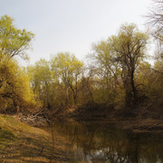 100c000954m