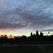 IMG-1747