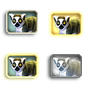 LemurRingtailed_Adult_F.png