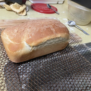 IMG-2375