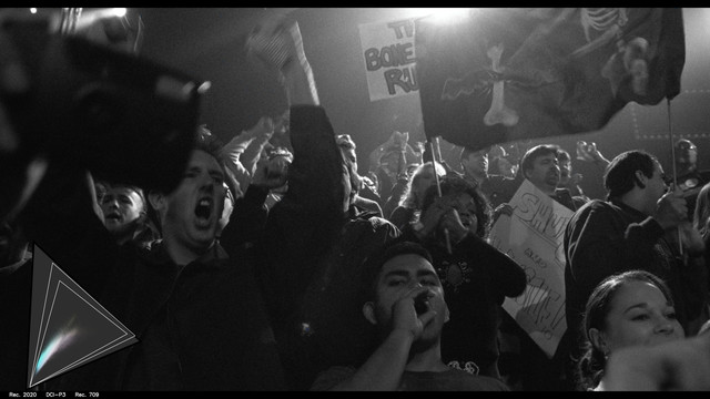 gamut-SPI10077