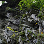 DSC7057