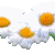 0-42dbd-9010600-L