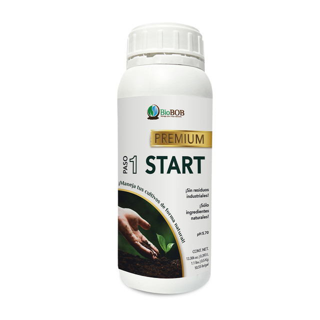 START.jpg