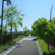 P1320192