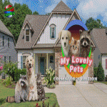 mlp150
