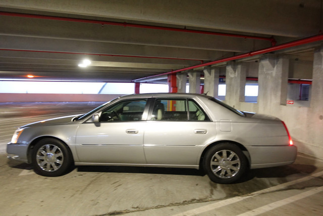 DSC09450.jpg
