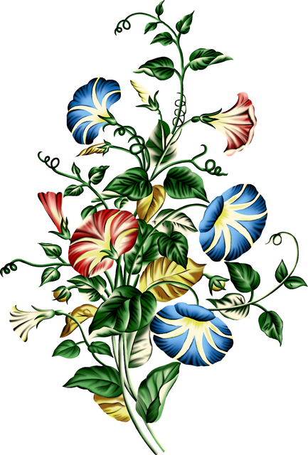 ee07f6191b5952ecc9af756ce9d50fe4.png