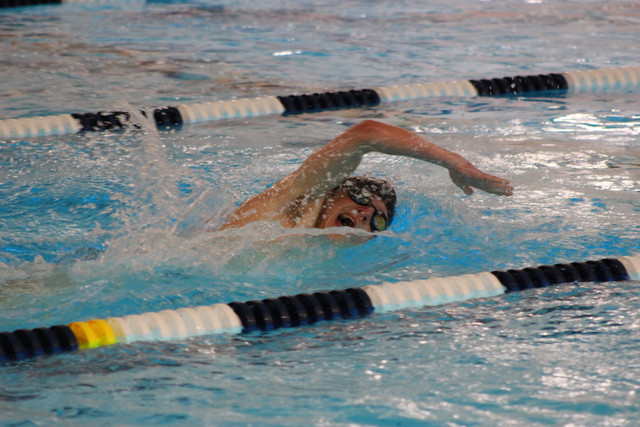 IMG-0379