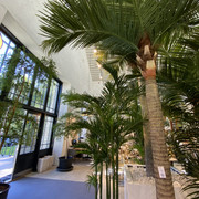 IMG-1290
