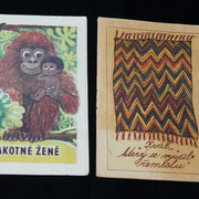 IMG-2551