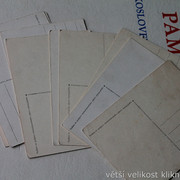 IMG-5557