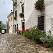 IMG-2133