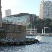 DSC-6594