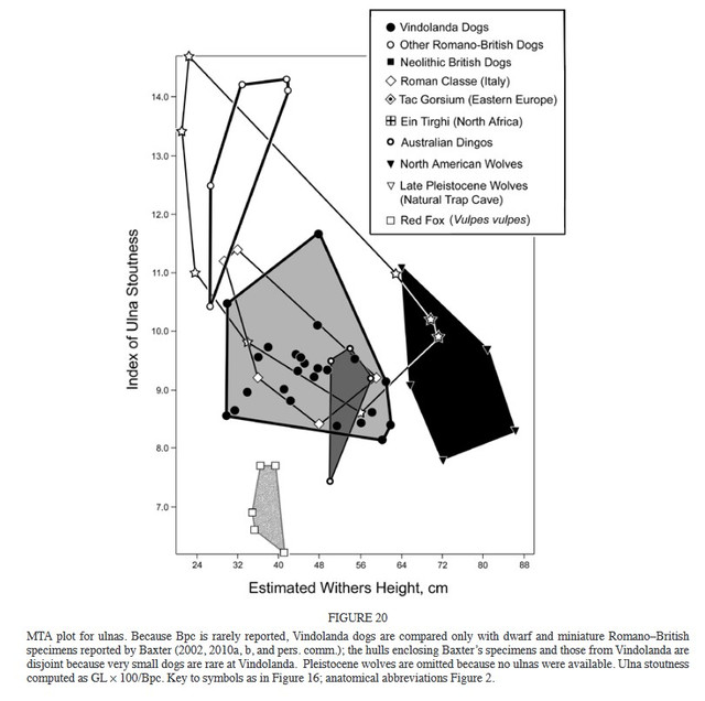 figure20