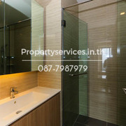 IMG 8638