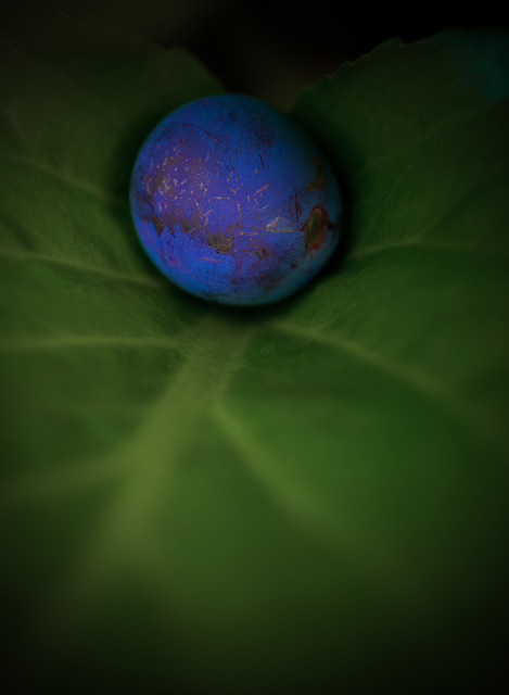 L1010150
