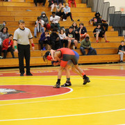 IMG-0122