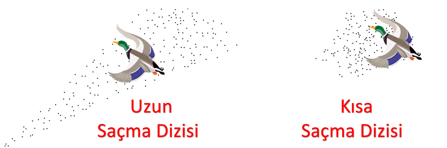 [Resim: sac-madizisi-3.webp]