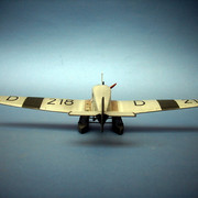DSCI7565