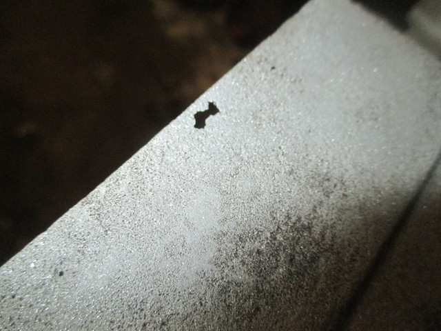 IMG-9012