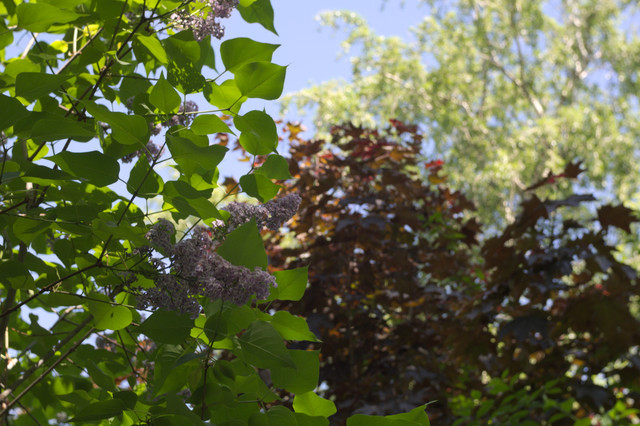 DSC3872.jpg