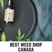 Best-Weed-Shop-Canada-21