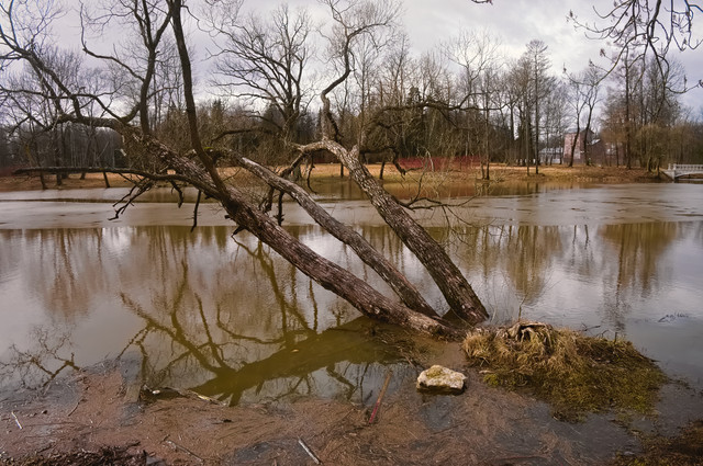 DSCF4439.jpg