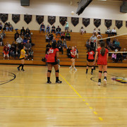 IMG-0161