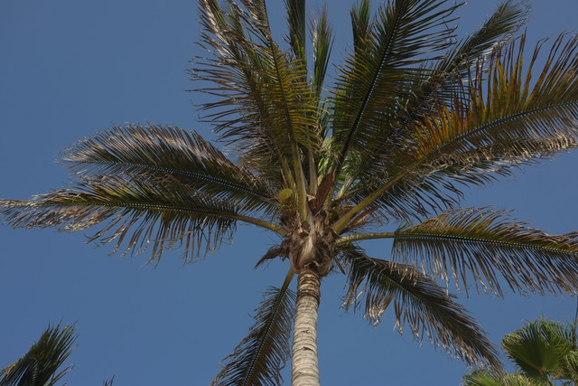 DSCF8236.jpg