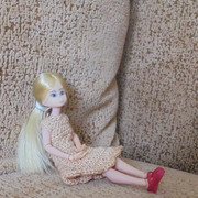 DSC00527